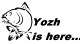 Аватар для Yozhyk